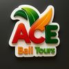 ace.bali_tours