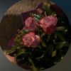 hasnaa_14.2