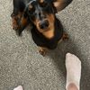jodiejpyhrp