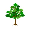 largetrees