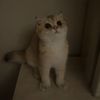 abdo3378_rr
