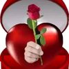 user3582233092861