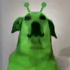 alien.dog99