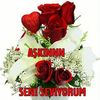 mevsim.aslan