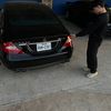carsightingsus