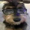 valentino_patraodoangel