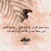 haitham0954