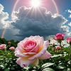 lidia.condori2
