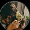 sadiya75748