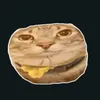 chisto_nurik