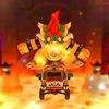 bowser_andco