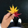 anray32