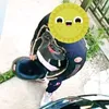 tommynorespect