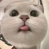 huynnngc2