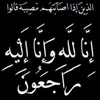 user8636073833562