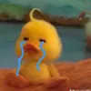 mevetranhnhungkhongbtve