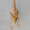 xanhxanh611