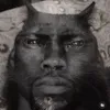 niggercatitis