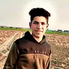 user8111079255036