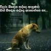 sudu.sudu321