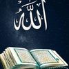 hafiz.saleem29