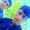 cricket__536