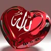 fatma.rabeh