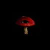 amanite_035