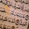 user839474300779