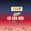 7͙8͙9͙F CÁ CÂN NÃO