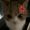 nguyensadb3