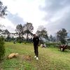 Ucok Ojol