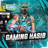 Gaming Hasib