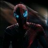 spider_jod