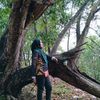 zira79_