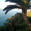 hichamghali72