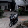 vardi_077