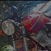 silva871642