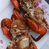 vinh_quang1234