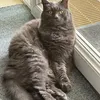 mymydas1
