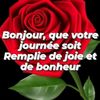 user50428156063053