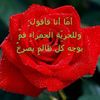 user4916129552295