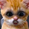 im_devn3