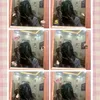 linh.lung.linh26