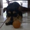 mayra_nicol90