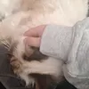 tiktoknoen
