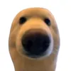 lindroosranjana8