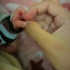 zoya_zh4352