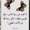 nahedmohammed39