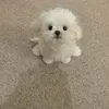meomiuw3